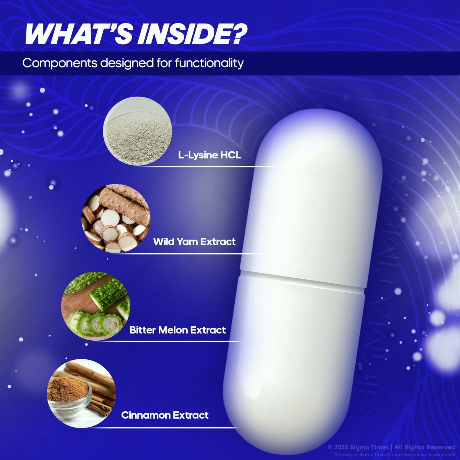 (1 Bottle) Nooceptin – Cognitive Enhancer Capsules for Cognition and Focus