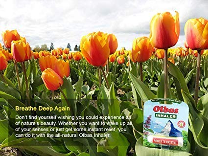 Olbas Inhaler, 0.01 Ounce