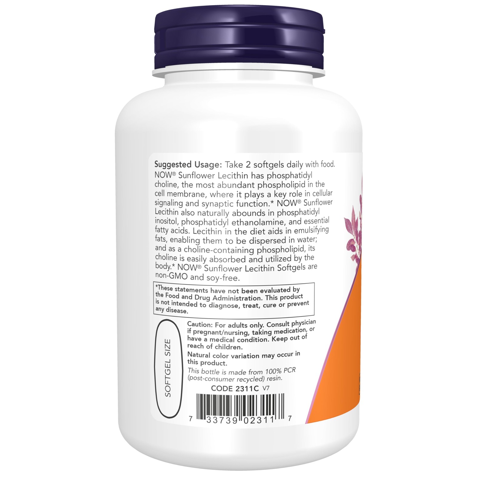 NOW FOODS Sunflower Lecithin 1200MG, 100 100 Count (Pack of 1), Multicolor