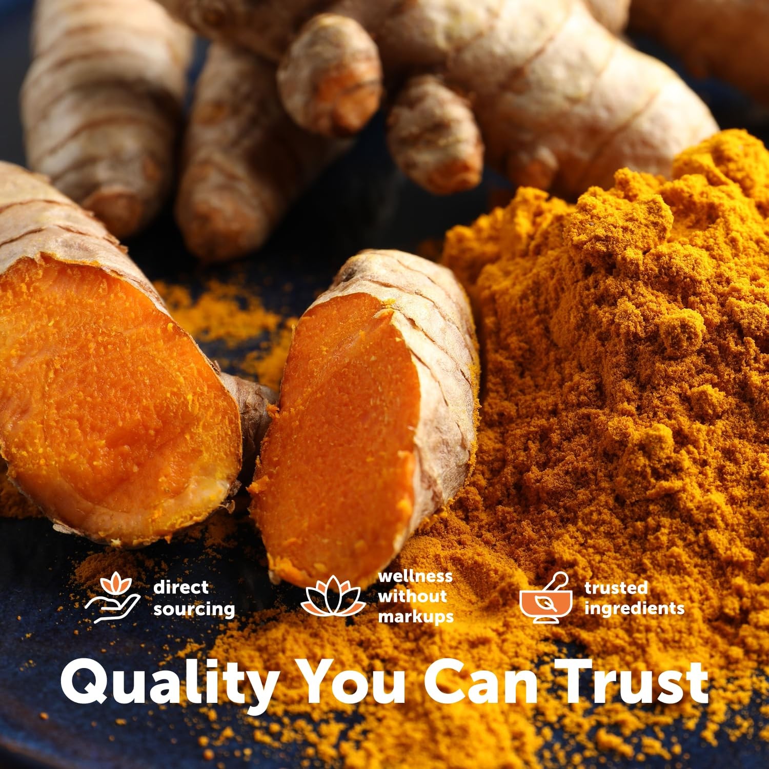 Micro Ingredients Turmeric Curcumin Supplement with 300 Count (Pack of 1)