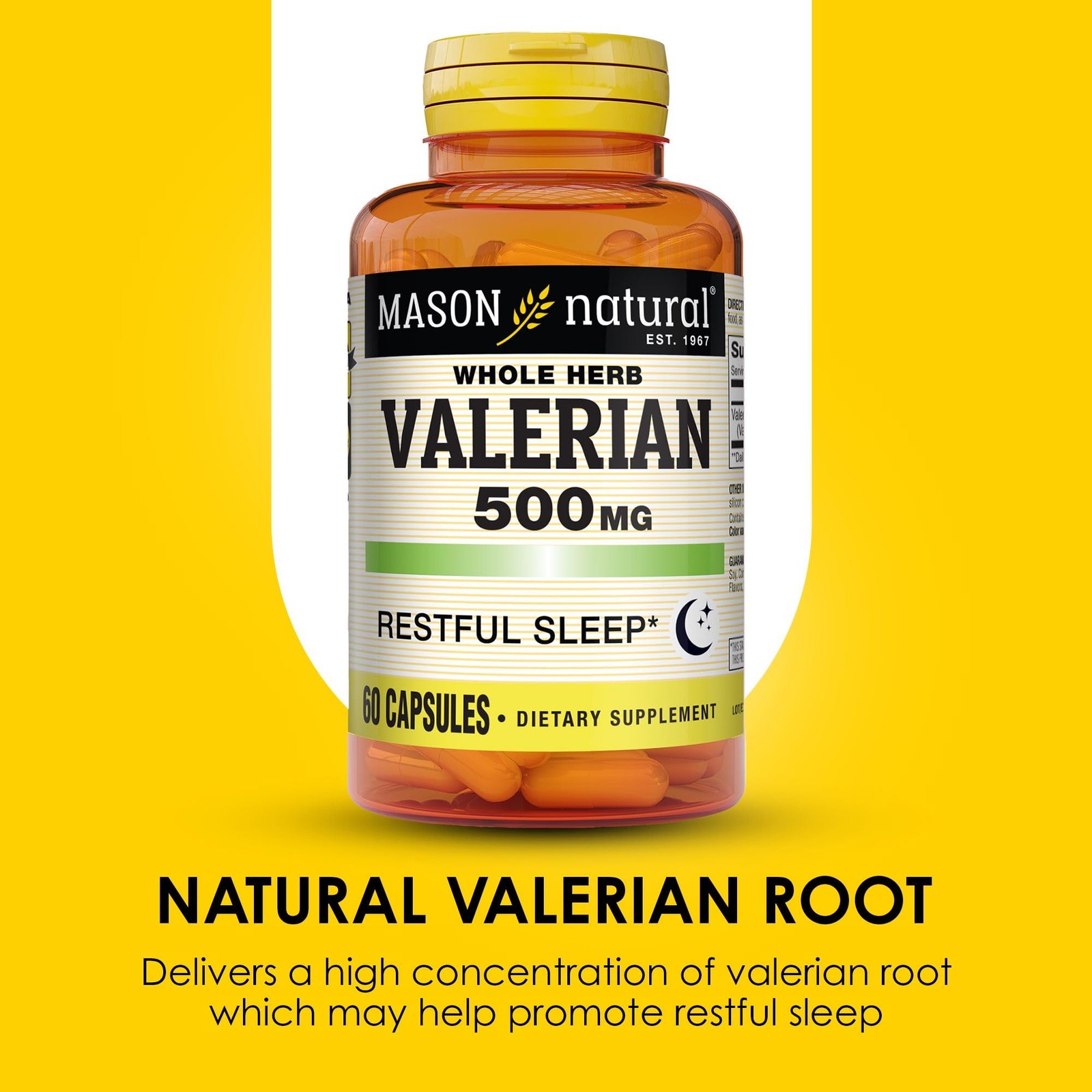 MASON NATURAL Valerian Root 500 mg, 6 Month 60 Count (Pack of 3), Light Brown