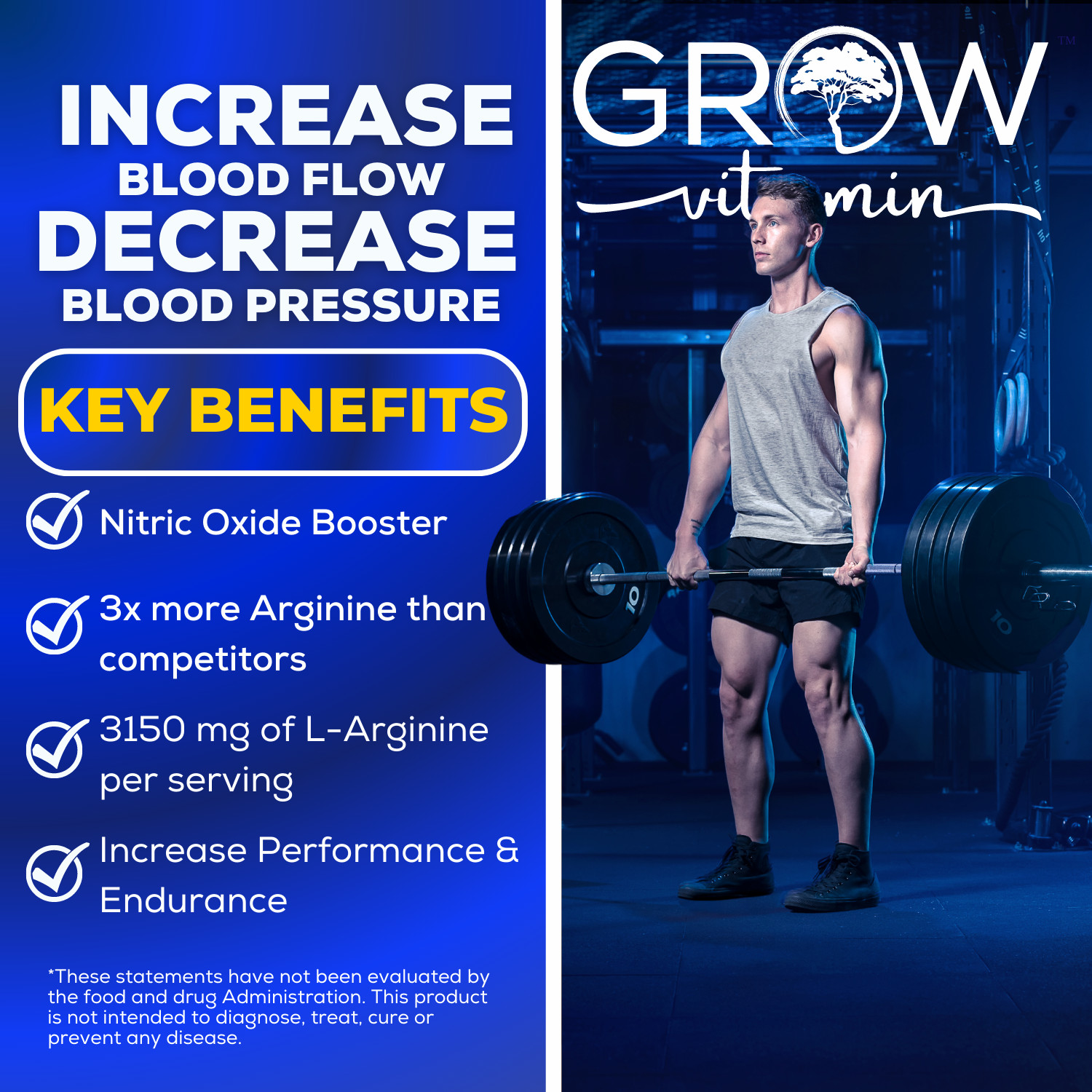 Dr. Emil’s ARGININE Plus – L Arginine + L Citrulline – 2500 MG High Dose NO B…