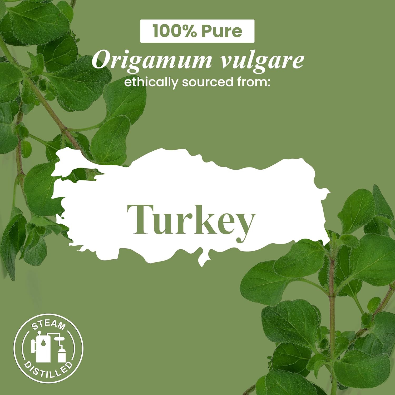Oregano Oil – 1 Fl Oz – 100% Pure and Natural – Premium Grade