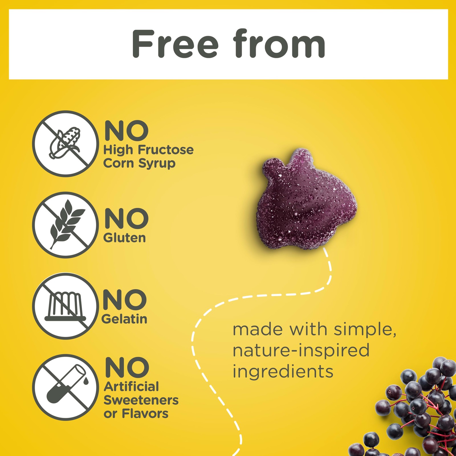 Zarbee’s Daily Immune Support* Gummies with Real Elderberry, Vitamins A, 60ct