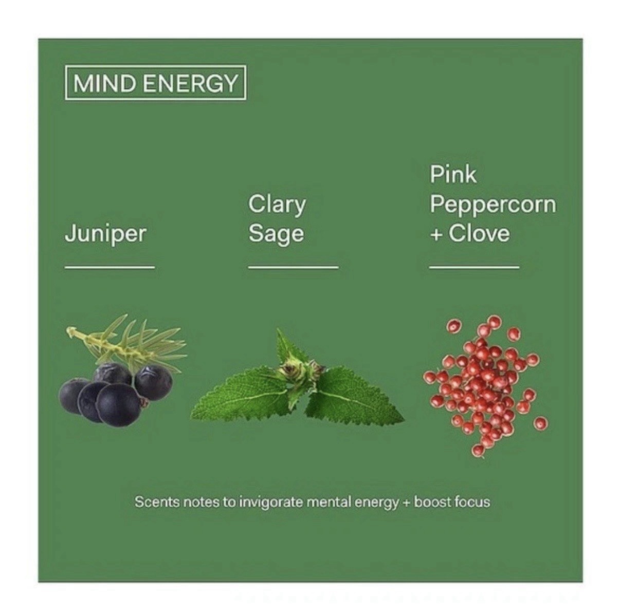 The Nue Co. Mind Energy Unisex Fragrance – Instant Stress Relief Aromatherapy…