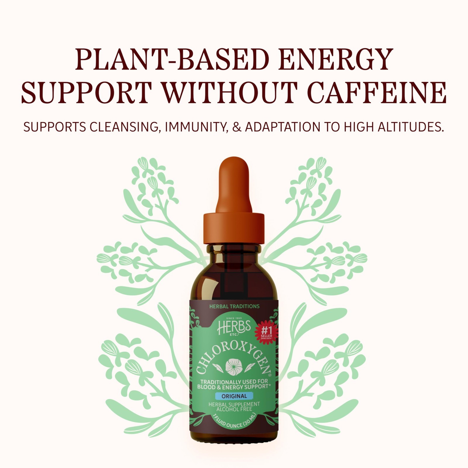 Chlorophyll Concentrate Liquid Drops – Alcohol Free, Detox, Skin & Gut Support –