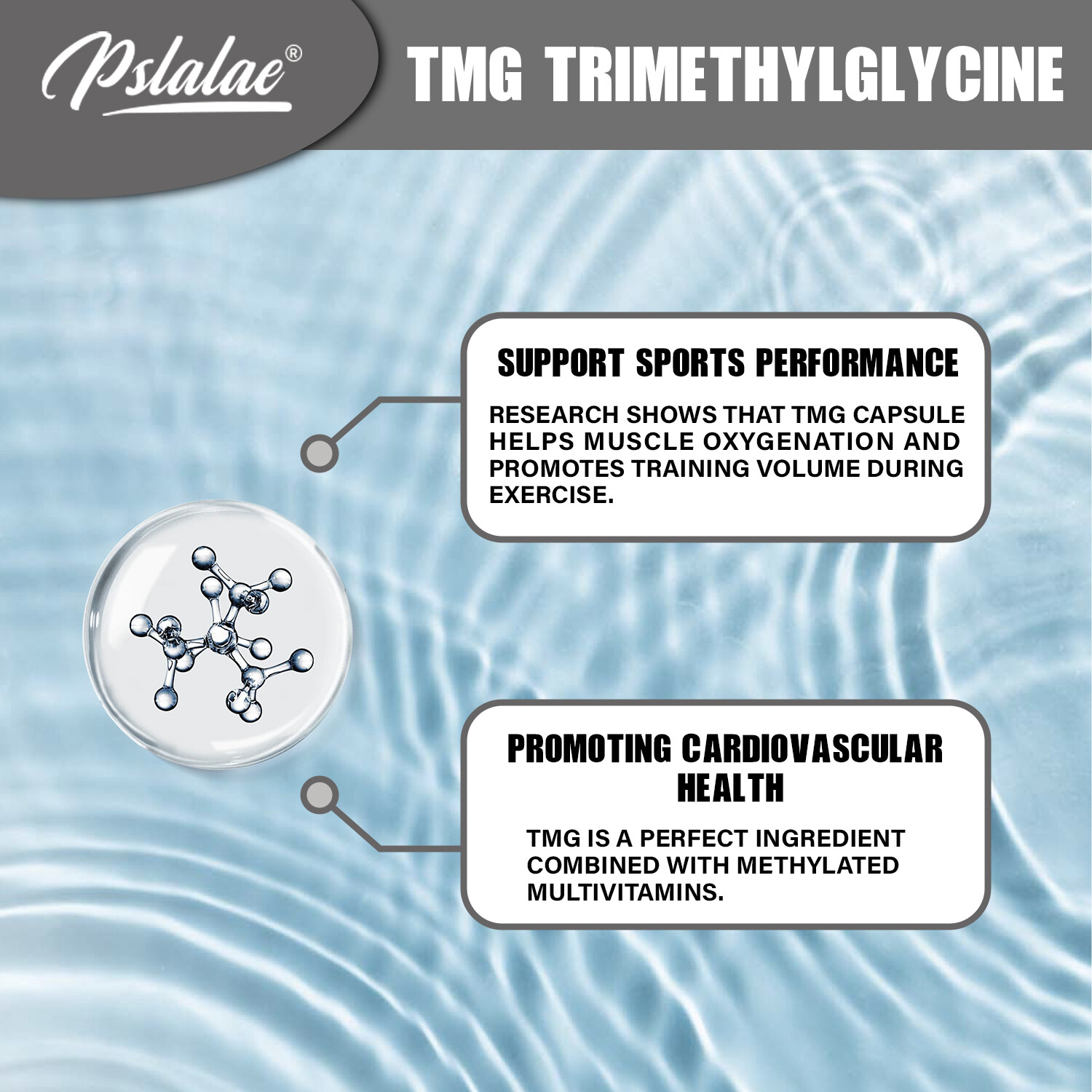 TMG Trimethylglycine 1000mg-Betaine Anhydrous – Liver Support,Digestive Support