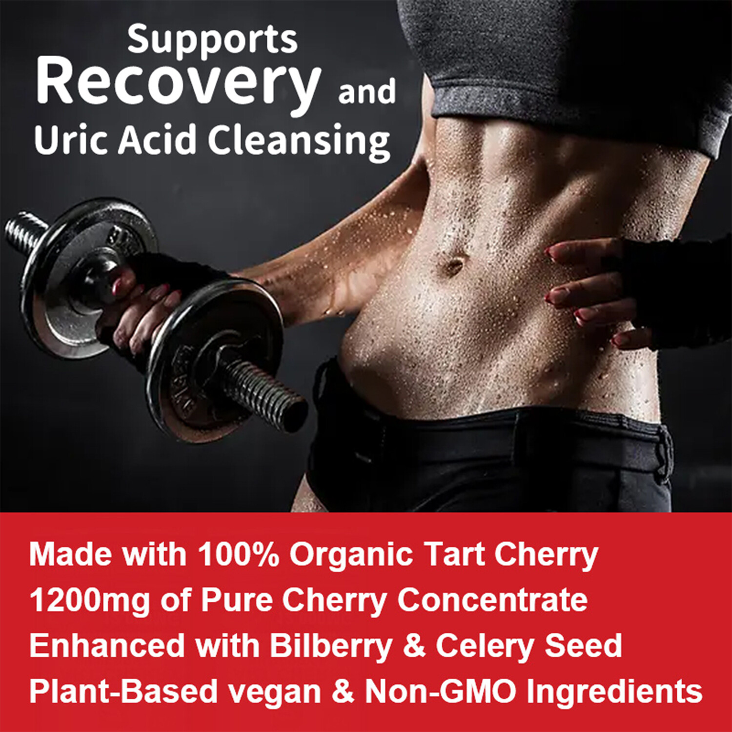 Tart Cherry Bilberry & Celery Seed – Uric Acid Cleanse, Kidney & Joint Health,