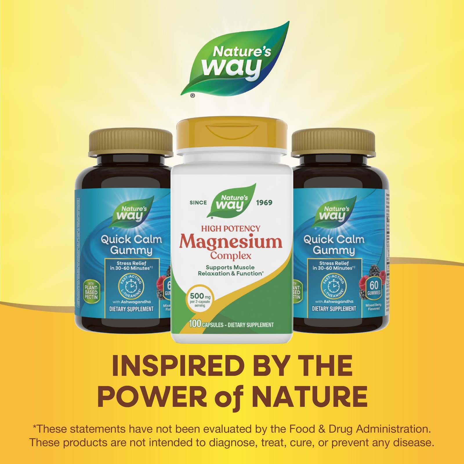 Nature’s Way Magnesium Complex, Supports Muscle 100 Count (Pack of 1)