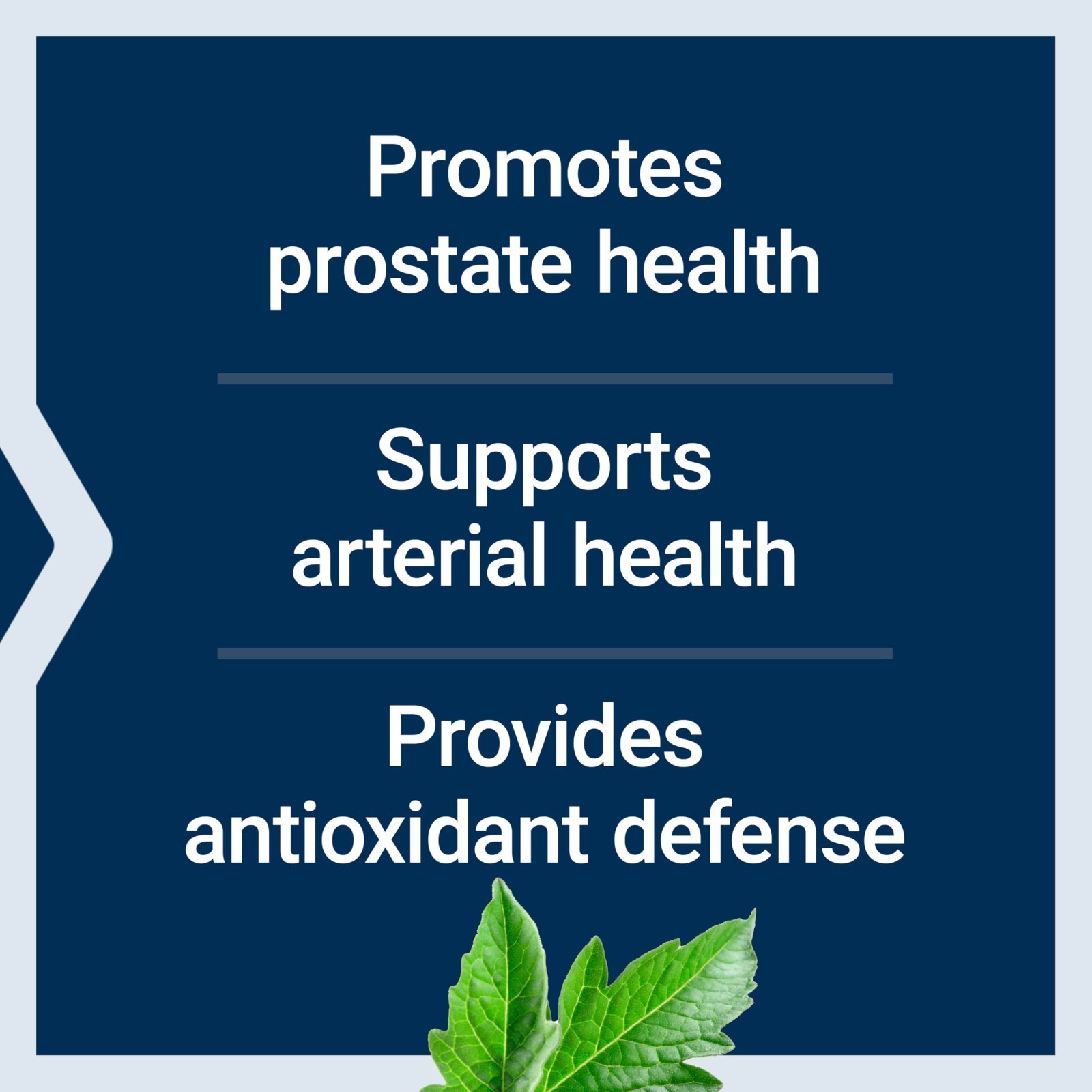 Mega Lycopene Softgels for Prostate & Arterial Health, Antioxidant Defense, Glut