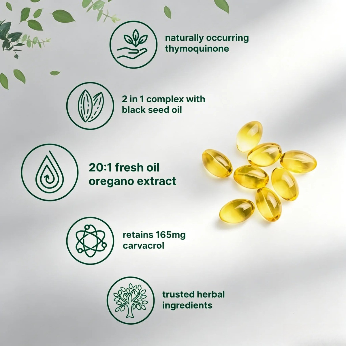 MicroIngredients Oil of Oregano with Black Seed Oil for Immune Support