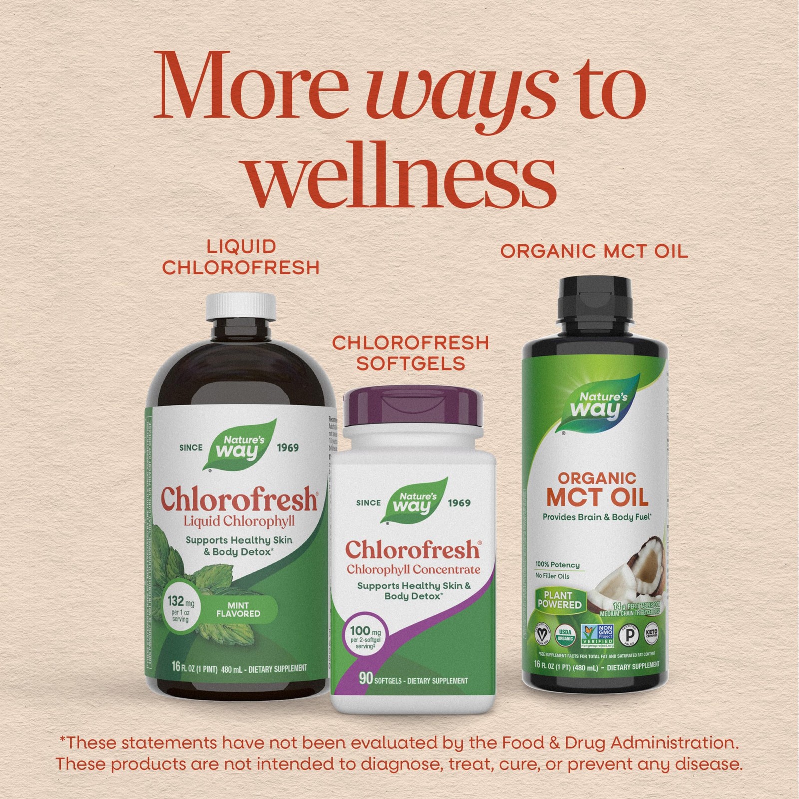 Nature’s Way Chlorofresh Liquid Chlorophyll, 16 Fl Oz (Pack of 1),