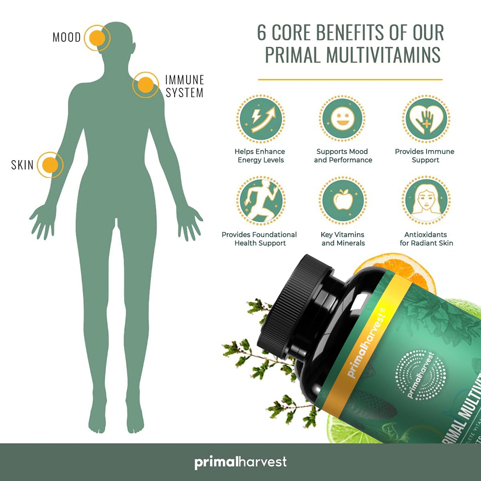 Primal Harvest Health Multivitamin – Minerals – Energy Immune Brain Heart Primal