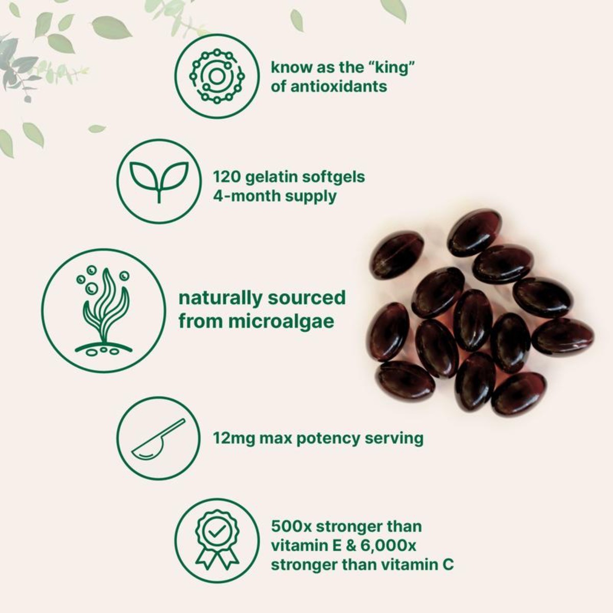 Micro Ingredients Astaxanthin 12mg Softgels, 120ct, Natural Antioxidant