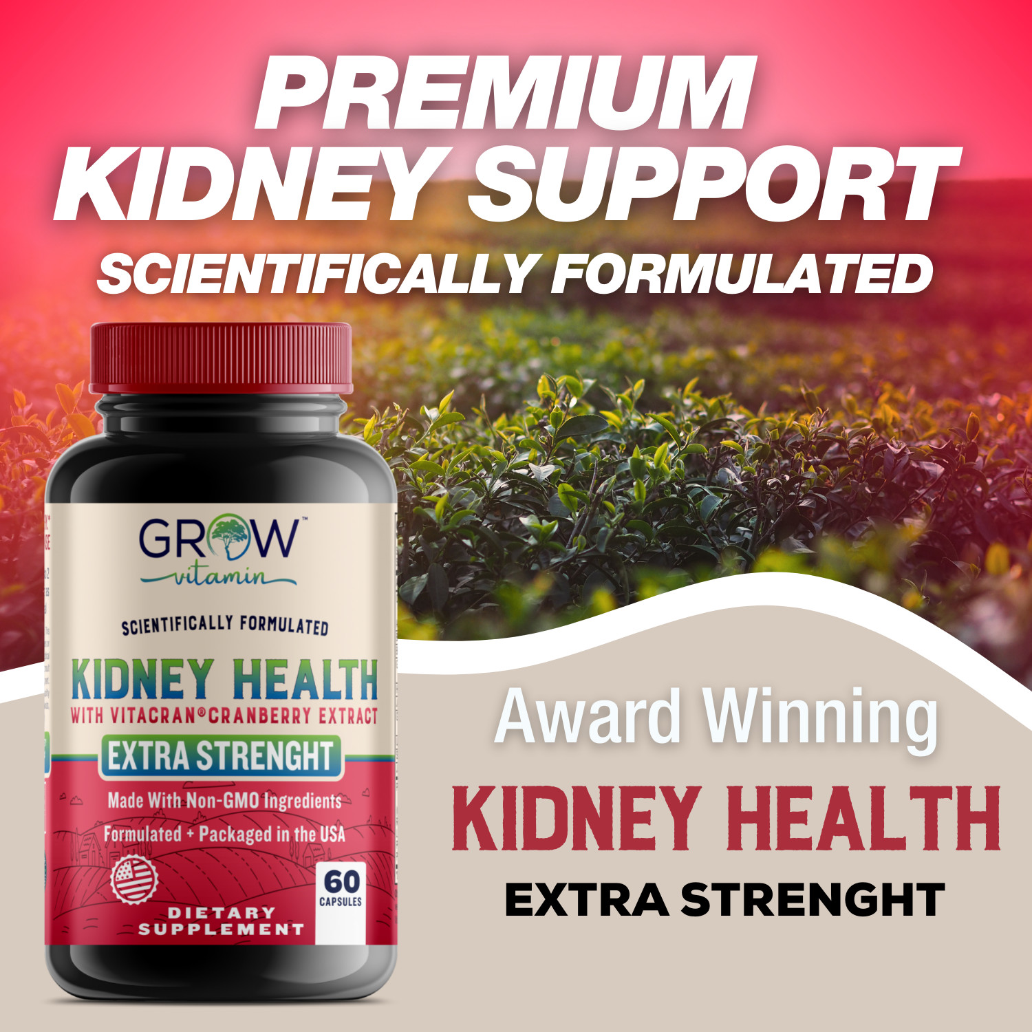 Organic KIDNEY SUPPORT – Herbal Natural Non-GMO Repair & Cleanse Supplement 2024