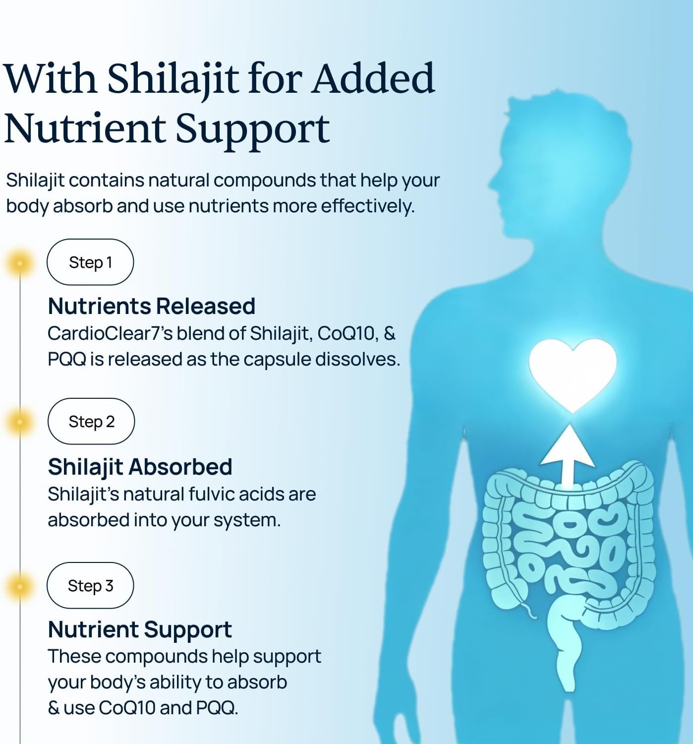 Simple Promise CardioClear7 CoQ10 with PQQ and Shilajit Supplement | Daily Heart