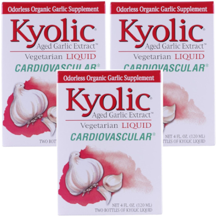 Kyolic Aged Garlic Extract – Vegetarian Cardiovascular 4 fl. oz Each (Pack of 3)