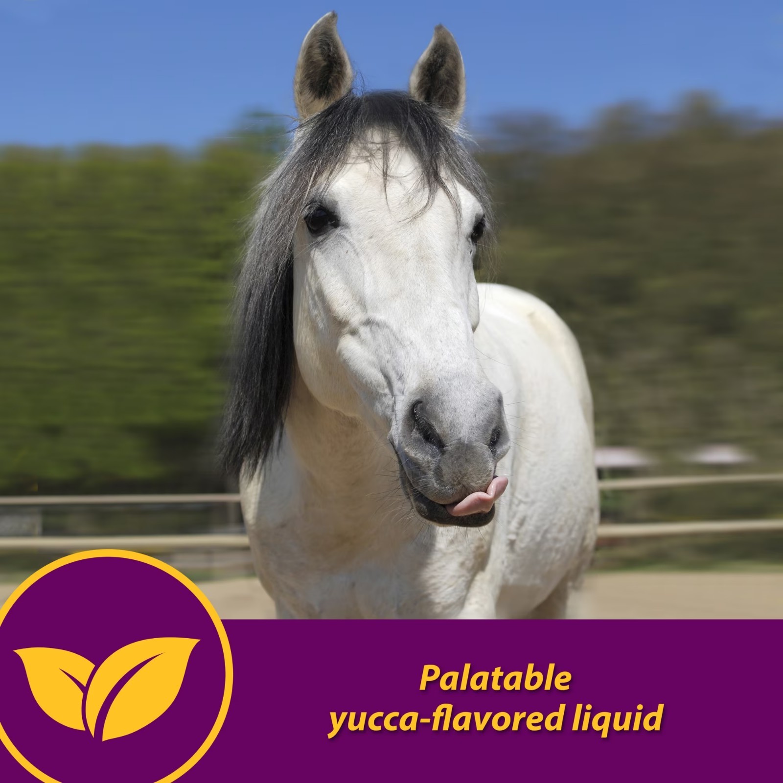 Horse Health Red Cell Vitamin-Iron-Mineral 32 Oz 16 Day Supply