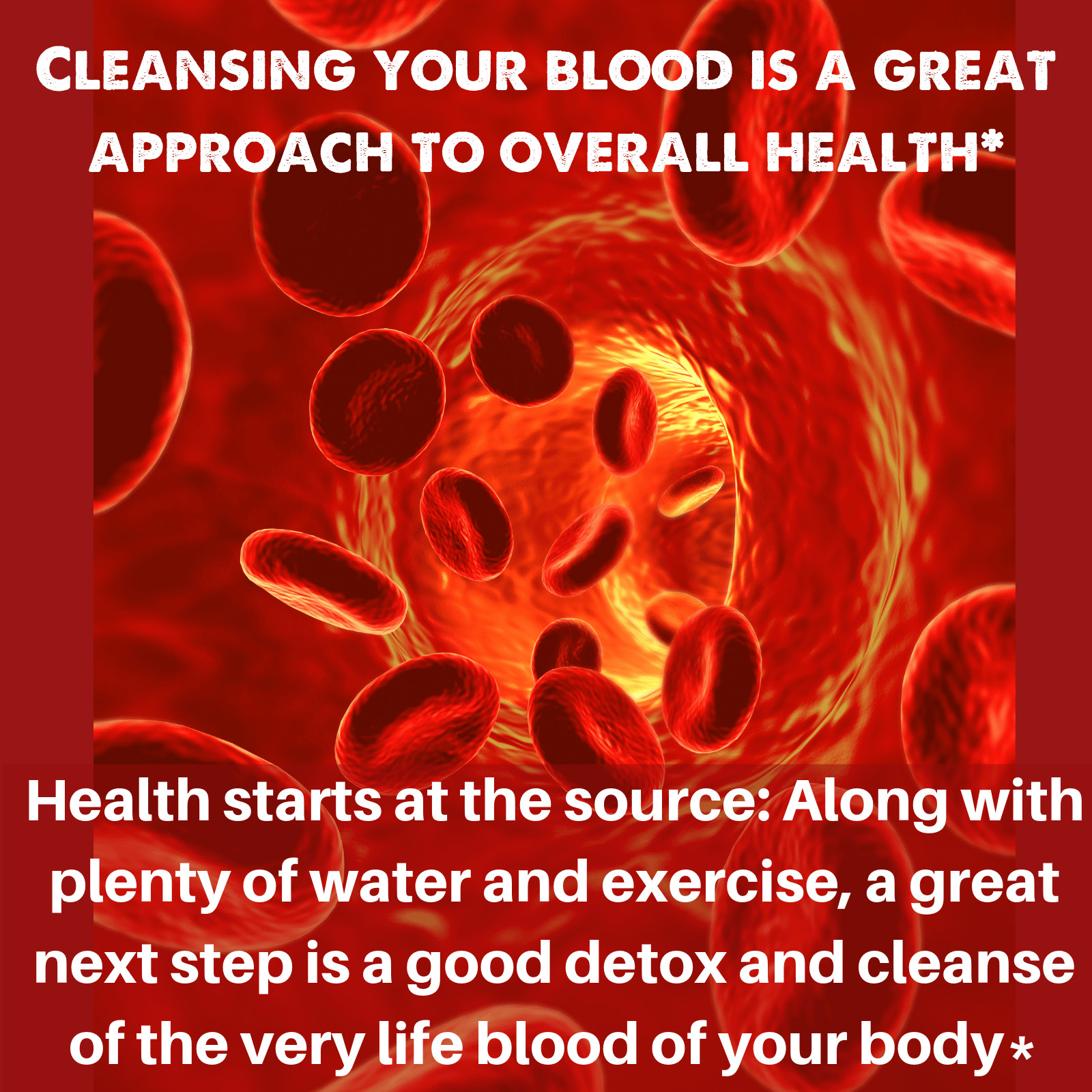SpeedyVite® Natural Blood Cleanser Supplement (2 Fl oz Drops) Organic & Wild