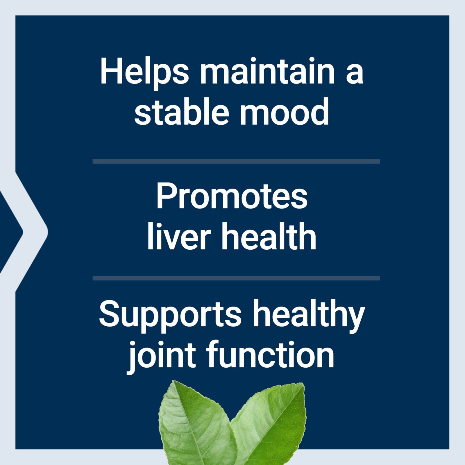 Mood, Joint & Liver Support – Gluten-Free, Non-GMO, Vegetarian, 30 Tablets