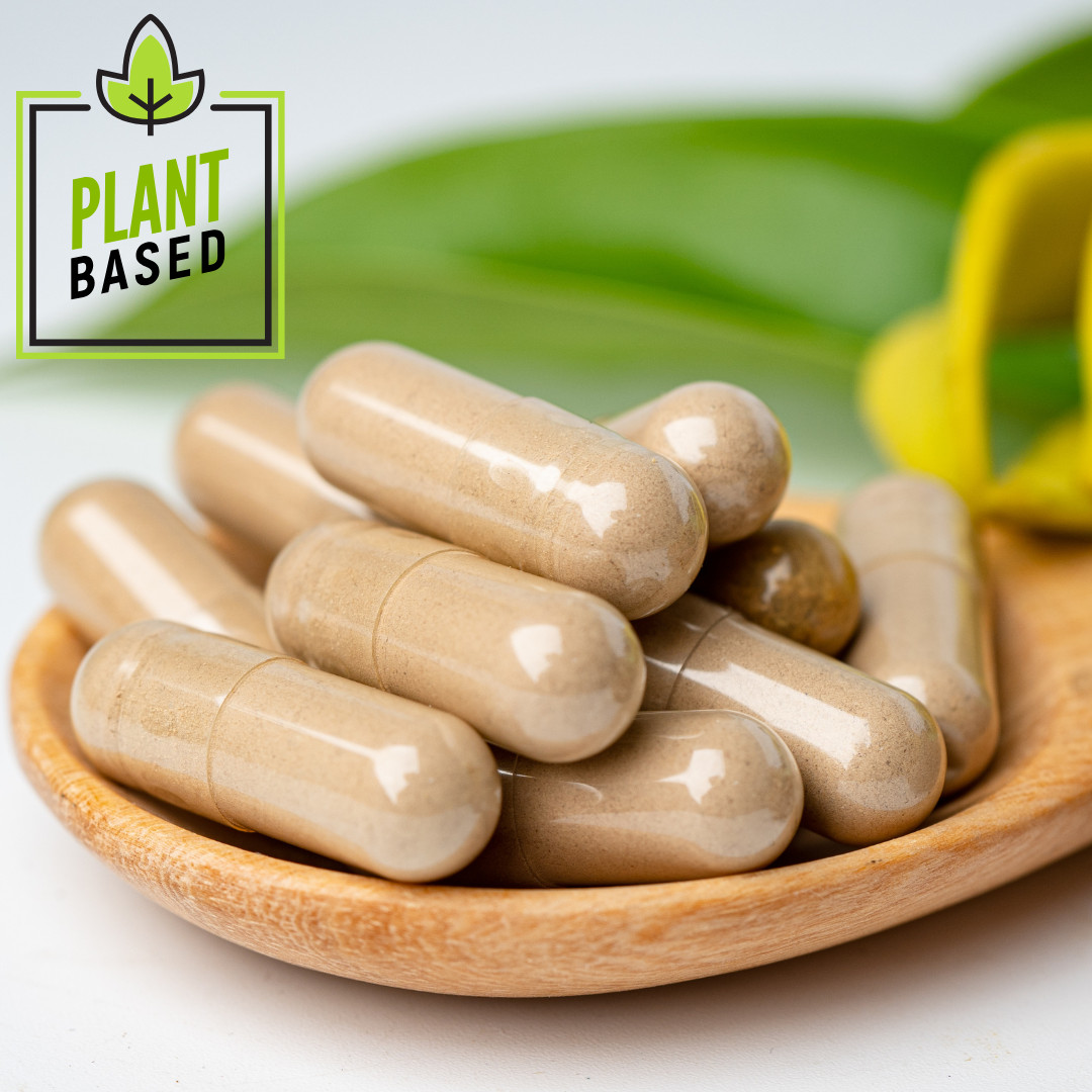 Motherwort Herb Extract Organic Supplement Natural Vegan Capsules 60 CT Health