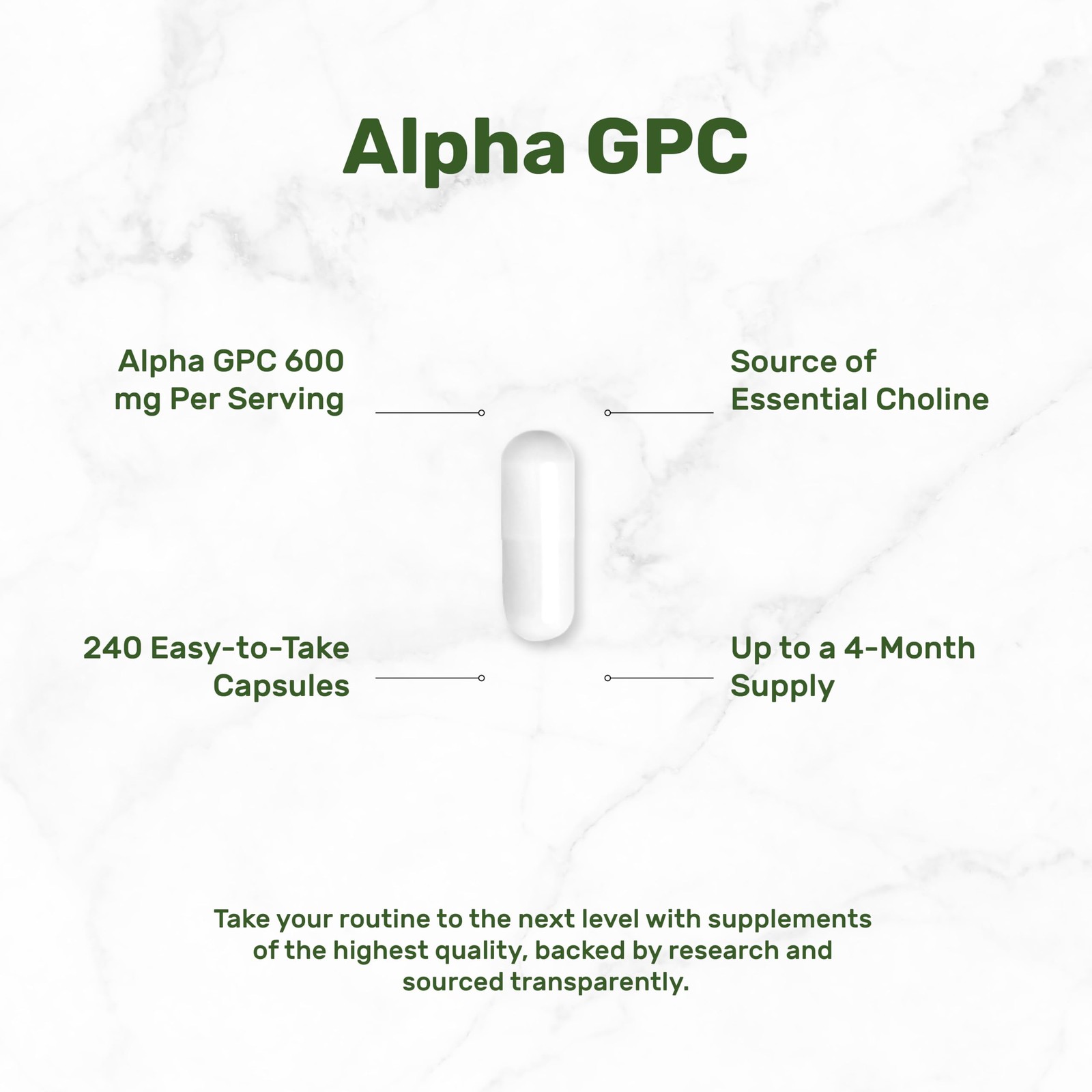 DEAL SUPPLEMENT Alpha GPC 600 mg Per Serving, 240 240 Count (Pack of 1)