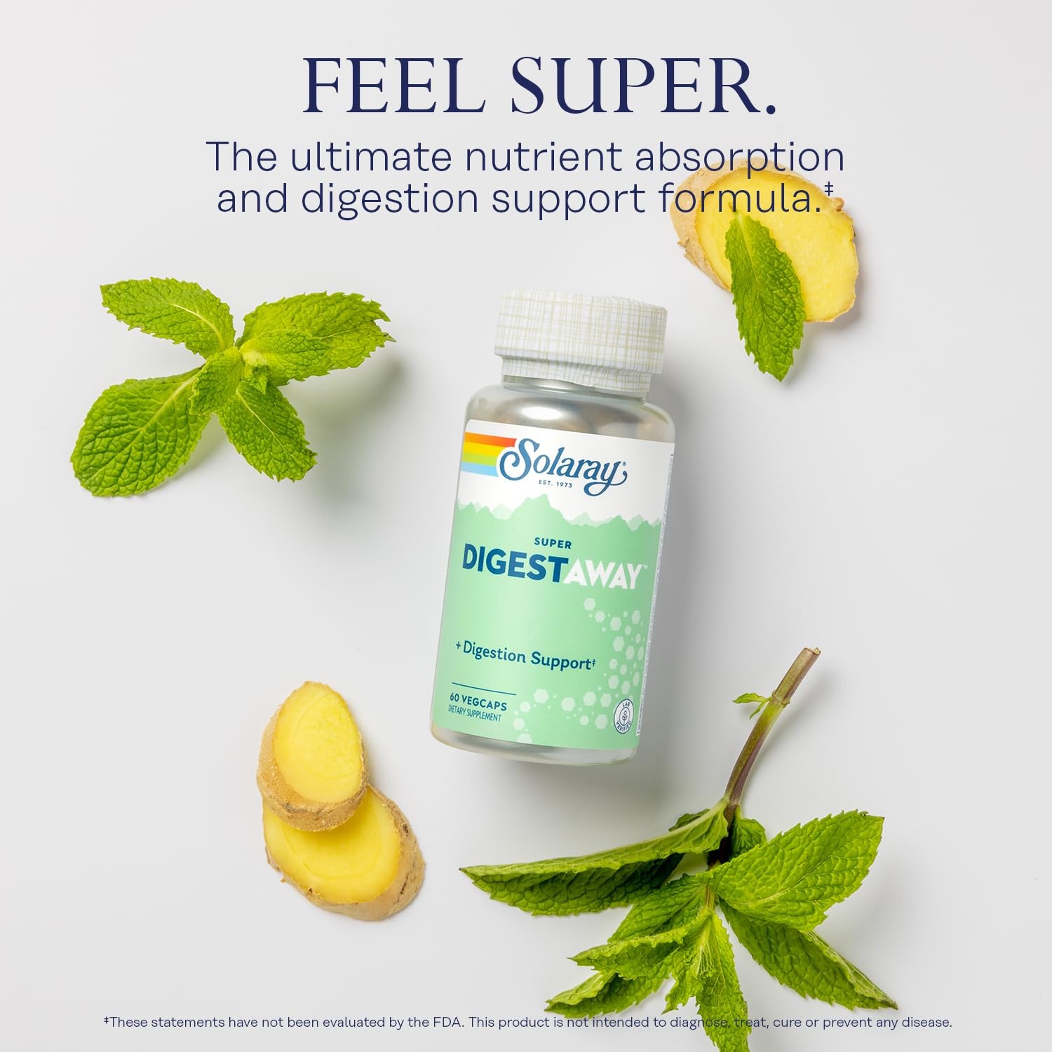 SOLARAY Super Digestaway Digestive Enzymes – 60 Count (Pack of 1), No Color