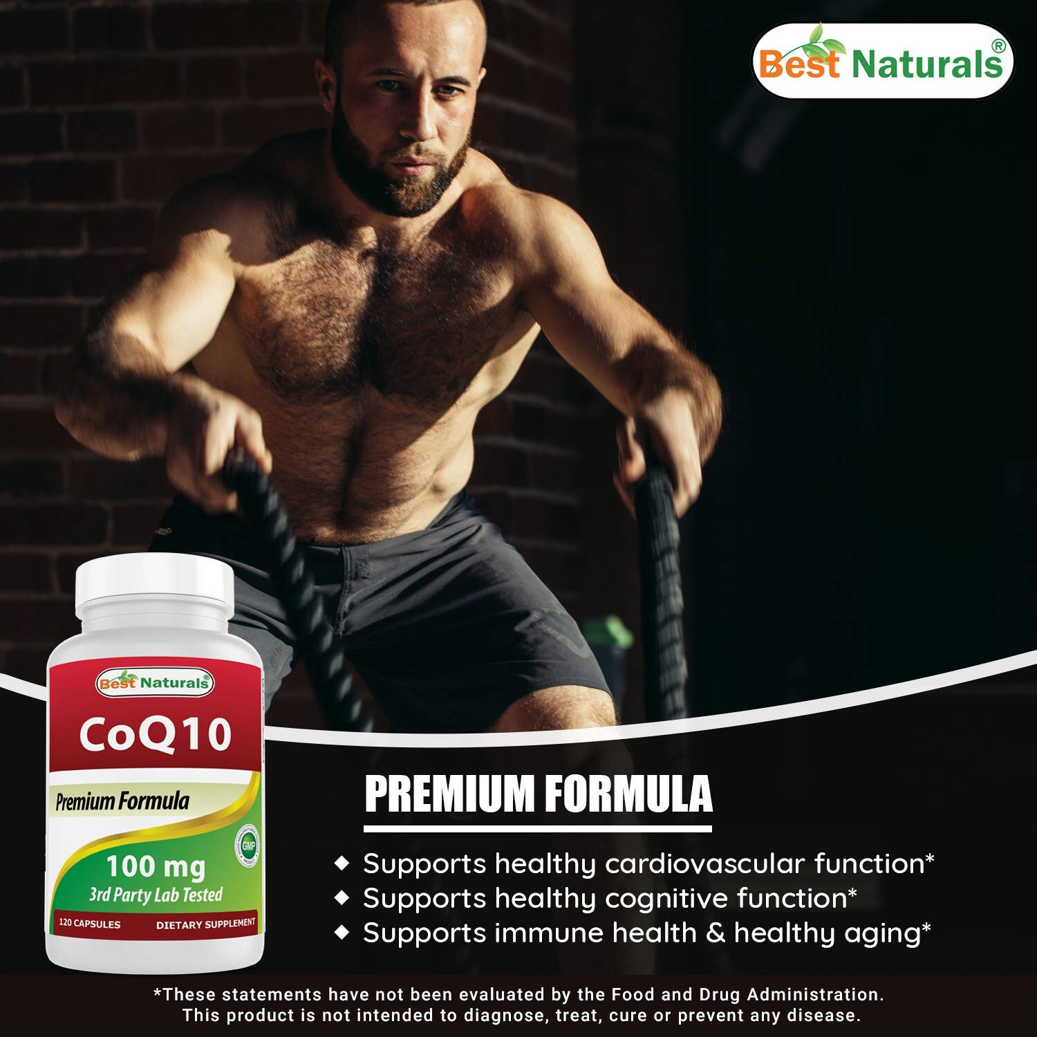 Best Naturals CoQ10 100 mg 120 Capsules
