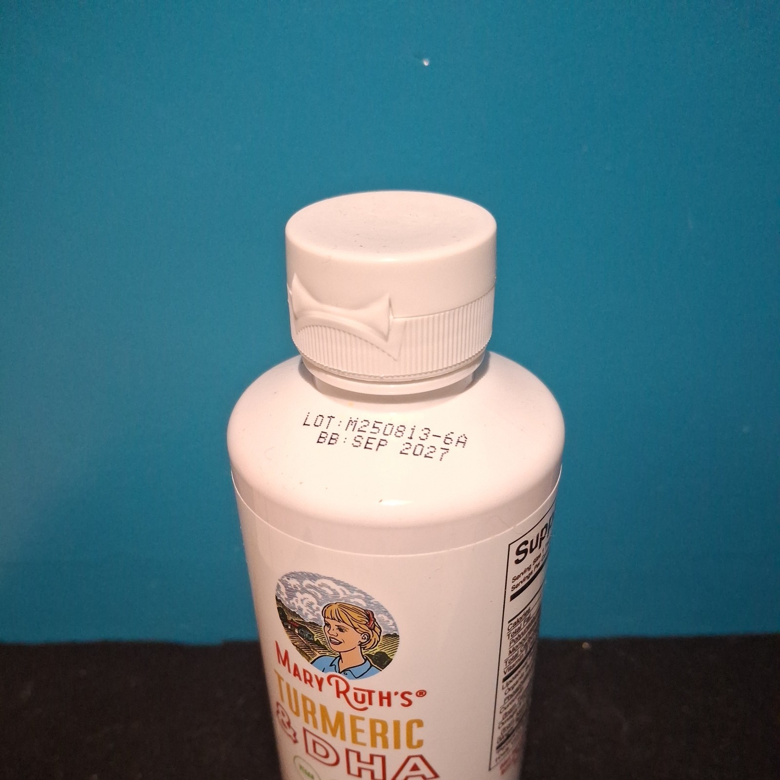 Turmeric & DHA Liposomal Liquid Supplement, Orange Ginger, 15.22 fl oz (450 ml)