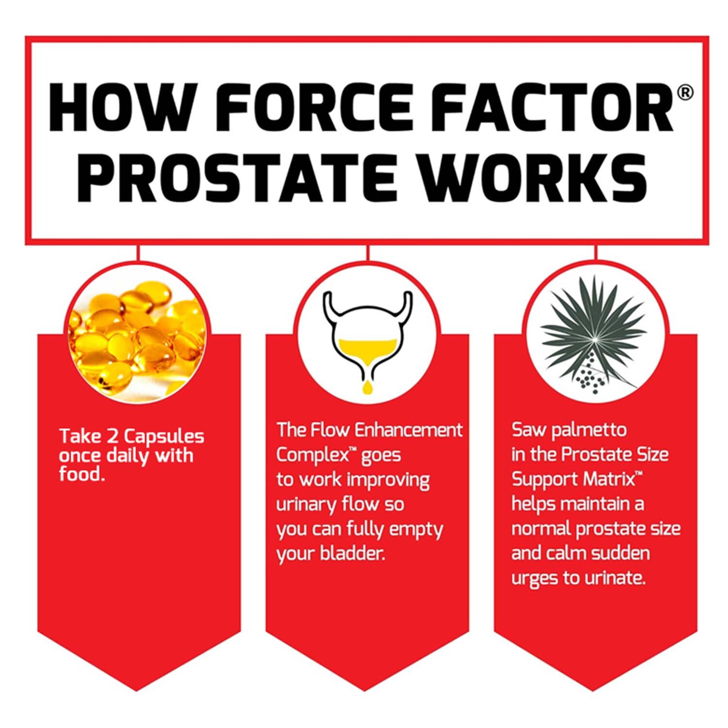 Prostate – Natural Advanced Prostate Support -with Saw Palmetto, Stinging Nettle
