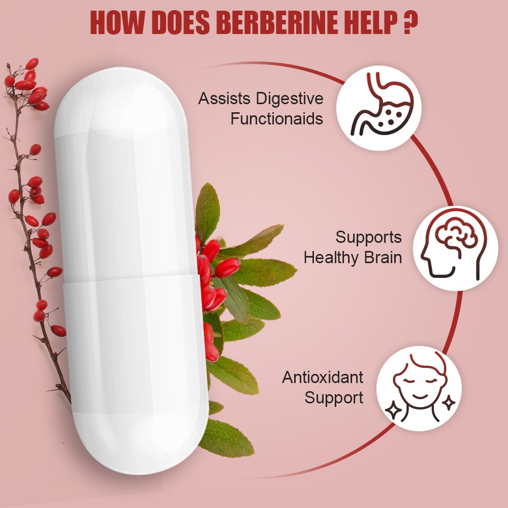 Berberine Hcl 1200Mg Tablet/capsules Support Blood Sugar Supplement Immune Vegan