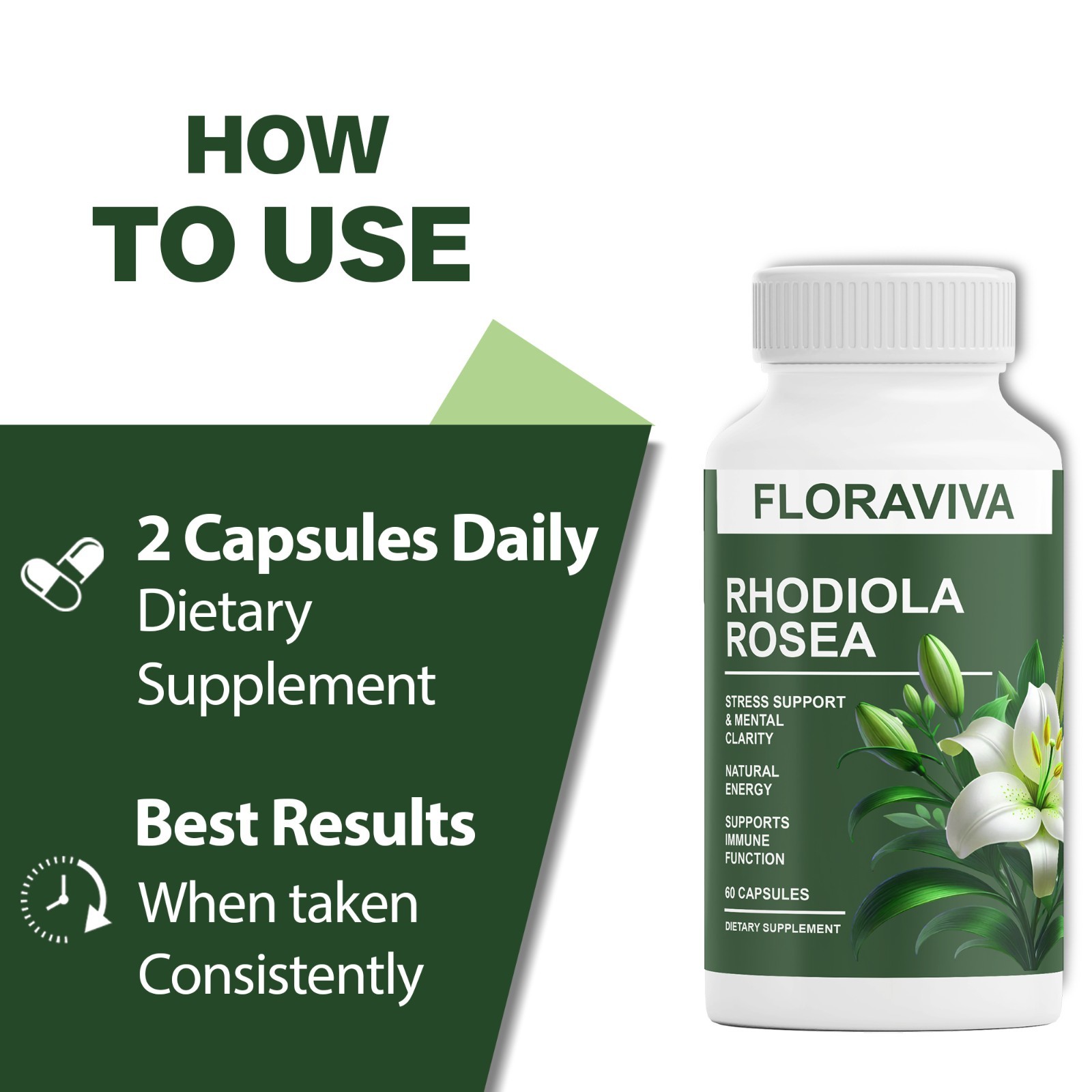 1-Pack Rhodiola Rosea Capsules – Floraviva for Energy, Focus, Mood