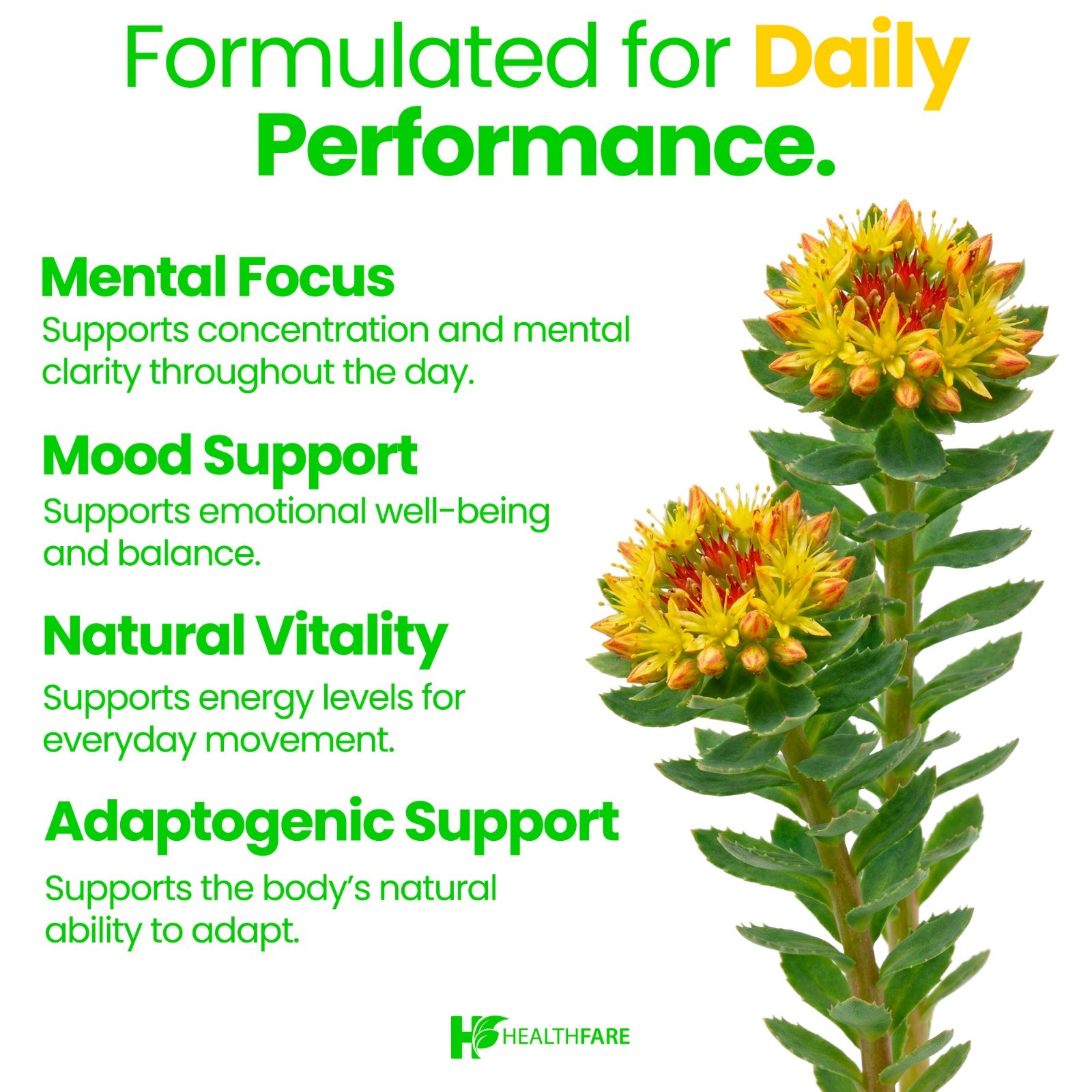 Healthfare Rhodiola Rosea Capsules 1000mg Equivalent | 90 Vegan Capsules