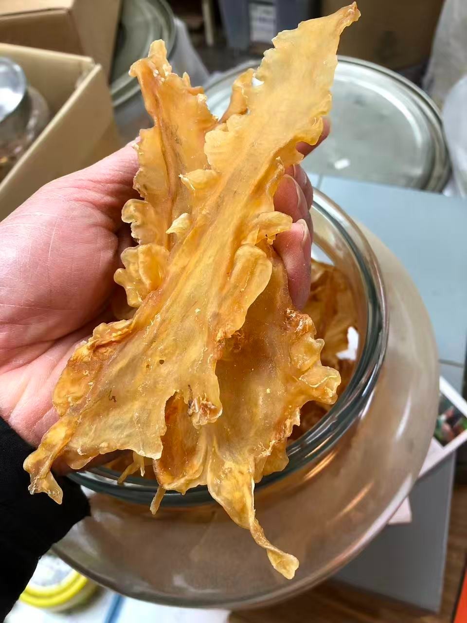 半磅装挪威鳕鱼胶Half Pound/Bag Dried Norwegian Cod Maw wild caught fish maw-U.S Seller