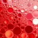 Anemia Panels