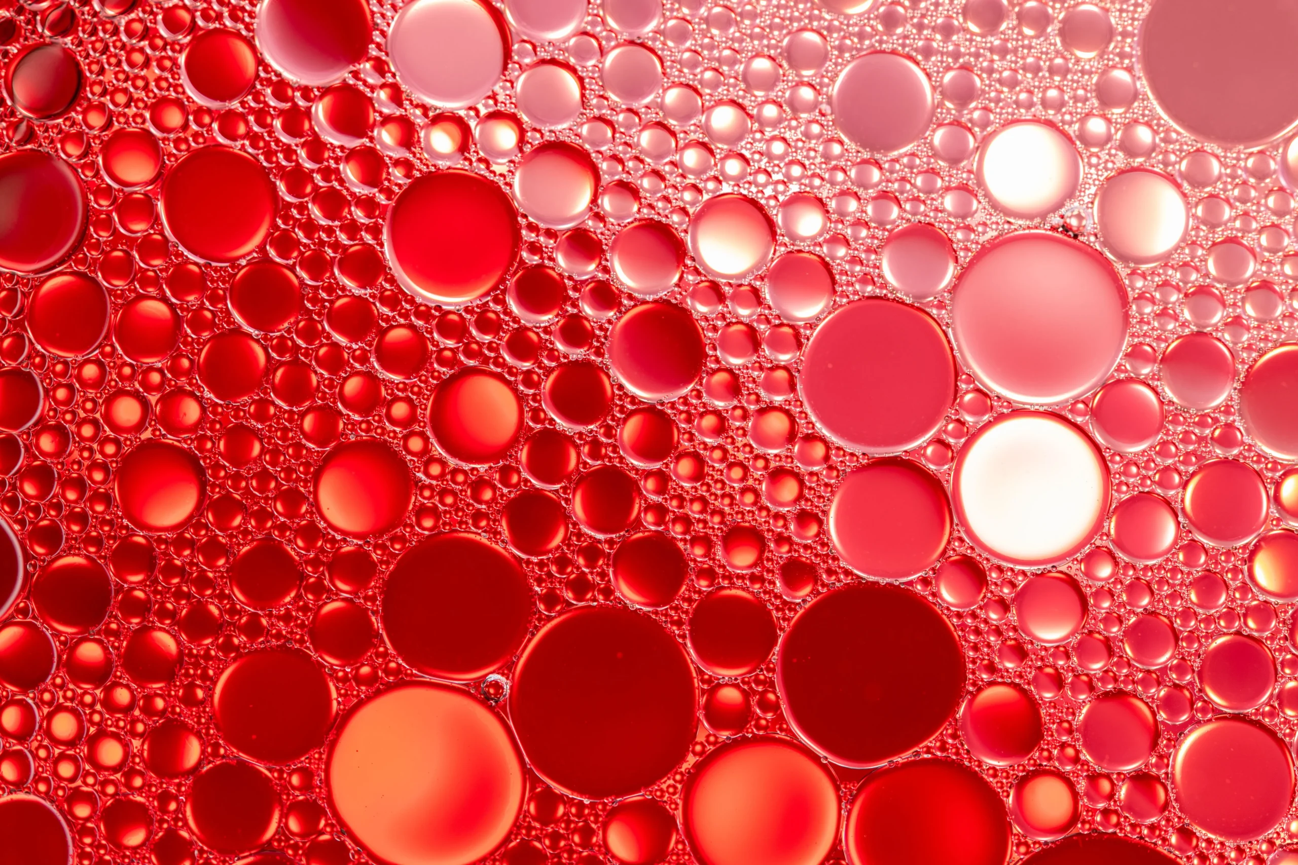 Anemia Panels