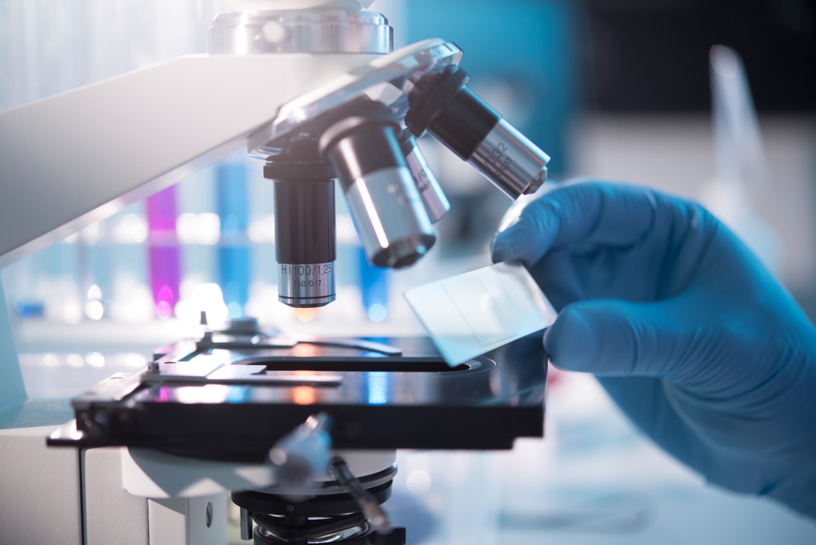 Thyrovision Labs specialist reviewing patient diagnostic reports