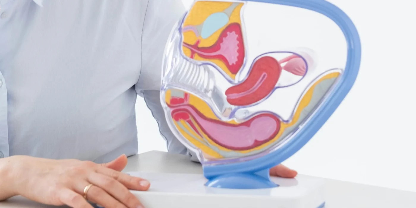 Male fertility panels