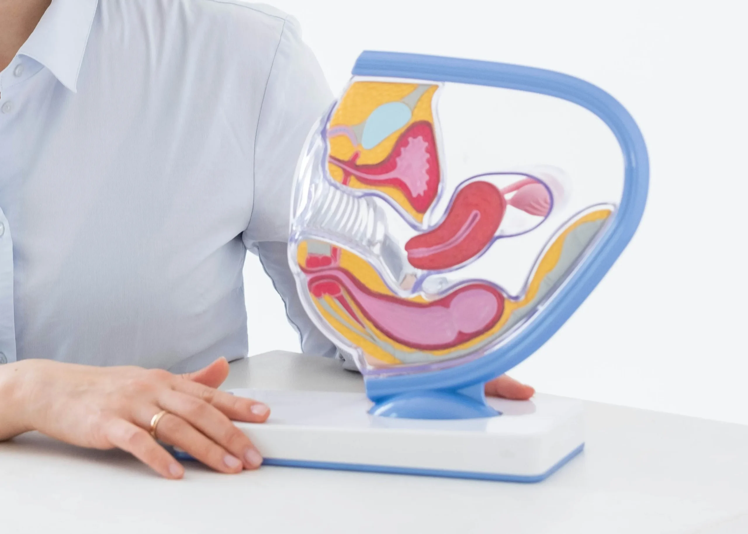 Male fertility panels