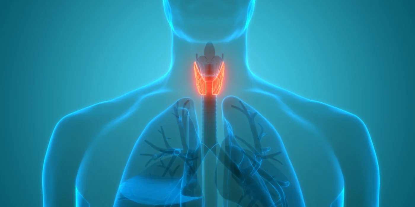 Thyroid and hormone package