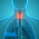 Thyroid and hormone package