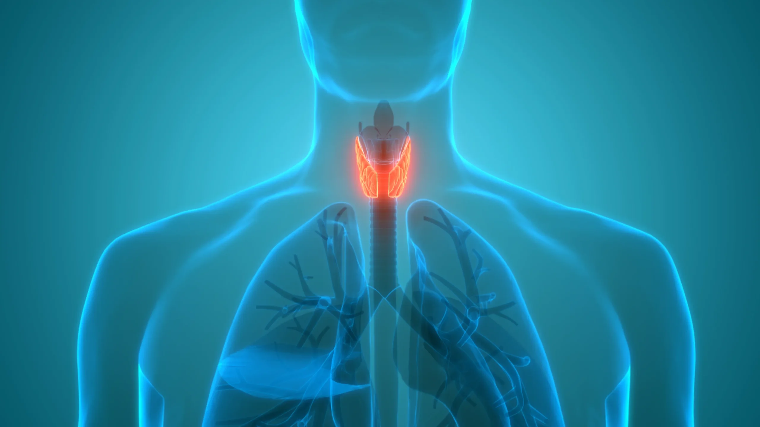 Thyroid and hormone package